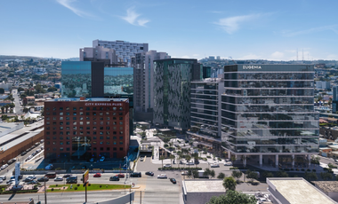 Oficinas en Venta Torre Eugenia