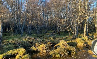 Casa en venta en COYHAIQUE