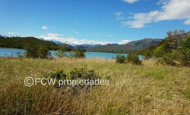 View of the land parcel in Caleta Tortel, featuring tall grasses, shrubs, and a lake with mountains in the background.