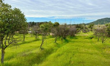 Parcela en venta en MARCHIGUE