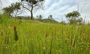 Parcela en venta en MARCHIGUE