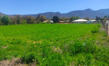 QVAL SPA Vende Hermosa Parcela de 6300 m2 con 2 casas en San Vicente de Tagua - Vende por Viaje