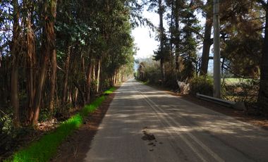 QVAL SPA Vende Hermosa Parcela de 6300 m2 con 2 casas en San Vicente de Tagua - Vende por Viaje