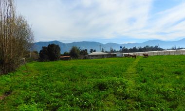 QVAL SPA Vende Hermosa Parcela de 6300 m2 con 2 casas en San Vicente de Tagua - Vende por Viaje