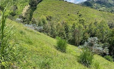 Finca el Retiro Vereda Nazareth