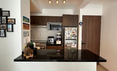 DEPARTAMENTO EN VENTA AMUEBLADO EN ZONA ESMERALDA, PARK VIEW