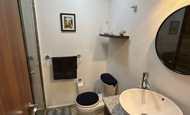 DEPARTAMENTO EN VENTA AMUEBLADO EN ZONA ESMERALDA, PARK VIEW