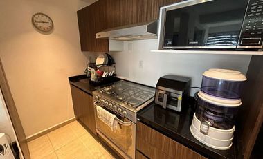 DEPARTAMENTO EN VENTA AMUEBLADO EN ZONA ESMERALDA, PARK VIEW