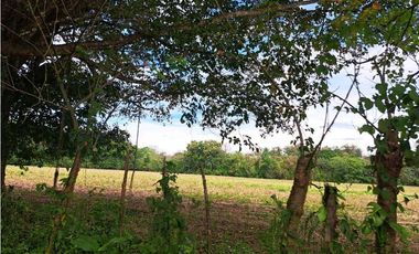 VENDO 38 HECTAREAS EN SAN.JUAN