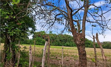VENDO 38 HECTAREAS EN SAN.JUAN