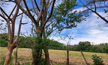 VENDO 38 HECTAREAS EN SAN.JUAN