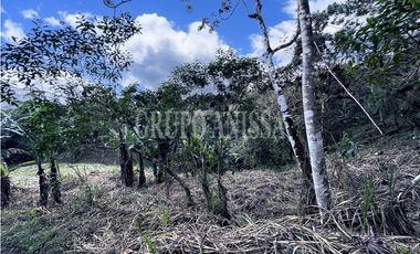 GANGA! Se Vende amplio terreno en la Rioca