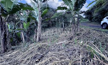 GANGA! Se Vende amplio terreno en la Rioca