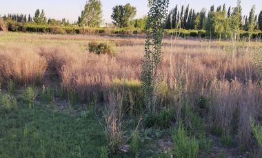 Lote en Venta en Guaymallen 2 hectáreas