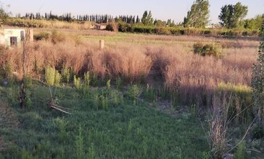 Lote en Venta en Guaymallen 2 hectáreas