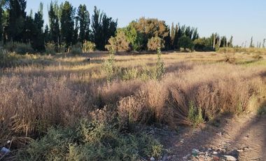 Lote en Venta en Guaymallen 2 hectáreas