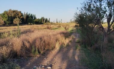 Lote en Venta en Guaymallen 2 hectáreas