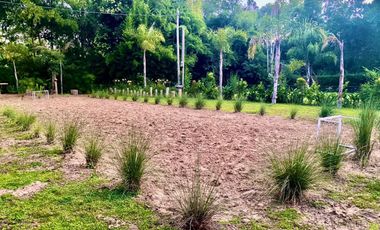 VENTA CASA LOTE 1400MTS TIGRE ARROYO RAMA NEGRA