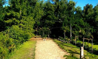 VENTA CASA LOTE 1400MTS TIGRE ARROYO RAMA NEGRA