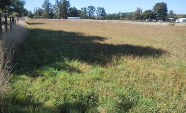 TERRENO AGRÍCOLA EN VENTA  RÍO BUENO, SECTOR HUINQUECO