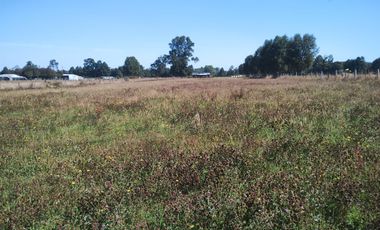 TERRENO AGRÍCOLA EN VENTA  RÍO BUENO, SECTOR HUINQUECO