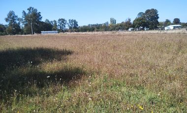 TERRENO AGRÍCOLA EN VENTA  RÍO BUENO, SECTOR HUINQUECO