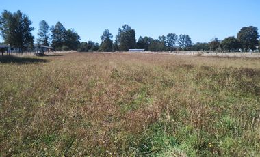 TERRENO AGRÍCOLA EN VENTA  RÍO BUENO, SECTOR HUINQUECO