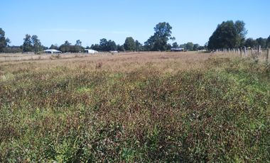 TERRENO AGRÍCOLA EN VENTA  RÍO BUENO, SECTOR HUINQUECO