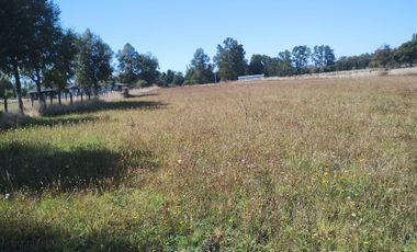 TERRENO AGRÍCOLA EN VENTA  RÍO BUENO, SECTOR HUINQUECO