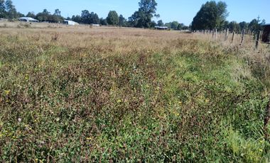 TERRENO AGRÍCOLA EN VENTA  RÍO BUENO, SECTOR HUINQUECO