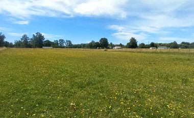 TERRENO AGRÍCOLA EN VENTA  RÍO BUENO, SECTOR HUINQUECO