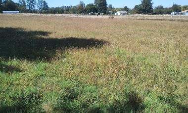 TERRENO AGRÍCOLA EN VENTA  RÍO BUENO, SECTOR HUINQUECO