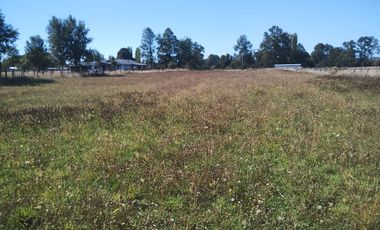 TERRENO AGRÍCOLA EN VENTA  RÍO BUENO, SECTOR HUINQUECO