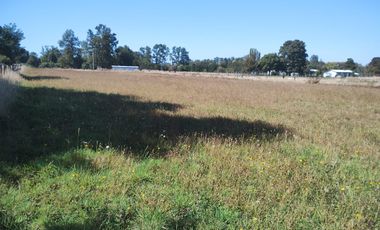TERRENO AGRÍCOLA EN VENTA  RÍO BUENO, SECTOR HUINQUECO