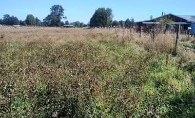 TERRENO AGRÍCOLA EN VENTA  RÍO BUENO, SECTOR HUINQUECO