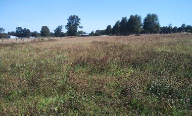 TERRENO AGRÍCOLA EN VENTA  RÍO BUENO, SECTOR HUINQUECO