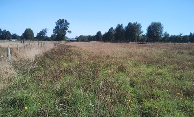 TERRENO AGRÍCOLA EN VENTA  RÍO BUENO, SECTOR HUINQUECO