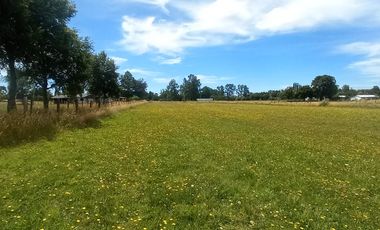 TERRENO AGRÍCOLA EN VENTA  RÍO BUENO, SECTOR HUINQUECO