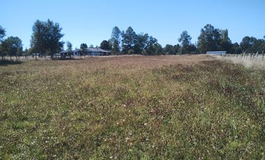 TERRENO AGRÍCOLA EN VENTA  RÍO BUENO, SECTOR HUINQUECO