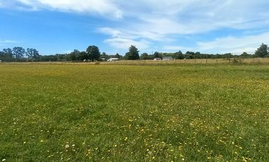 TERRENO AGRÍCOLA EN VENTA  RÍO BUENO, SECTOR HUINQUECO