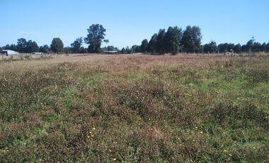 TERRENO AGRÍCOLA EN VENTA  RÍO BUENO, SECTOR HUINQUECO