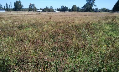 TERRENO AGRÍCOLA EN VENTA  RÍO BUENO, SECTOR HUINQUECO
