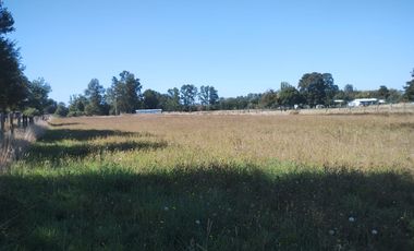 TERRENO AGRÍCOLA EN VENTA  RÍO BUENO, SECTOR HUINQUECO