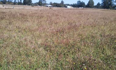 TERRENO AGRÍCOLA EN VENTA  RÍO BUENO, SECTOR HUINQUECO