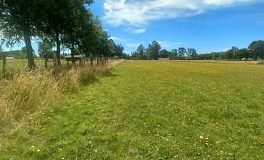 TERRENO AGRÍCOLA EN VENTA  RÍO BUENO, SECTOR HUINQUECO