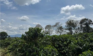 Se Vende Finca Cafetera Entre Alcala y Quimbaya 9010083