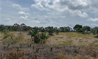 Se Vende Finca Cafetera Entre Alcala y Quimbaya 9010083