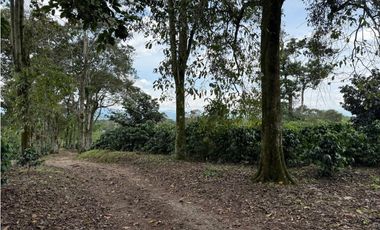 Se Vende Finca Cafetera Entre Alcala y Quimbaya 9010083