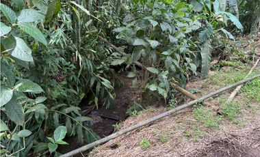 Se Vende Finca Cafetera Entre Alcala y Quimbaya 9010083