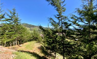 Venta Casa Campestre Parcelacion El Retiro